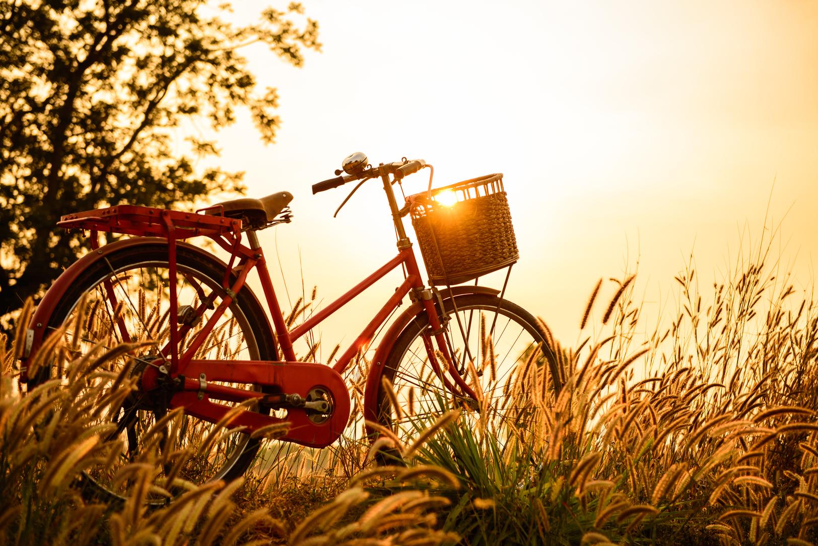 Bicycle in a field at sunset